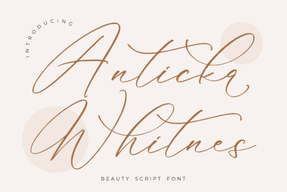 Anticka Whitnes Font Review