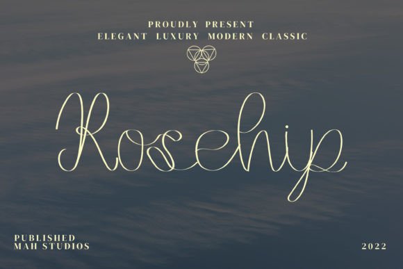 Rosehip Font: Handwritten Elegance for Makers