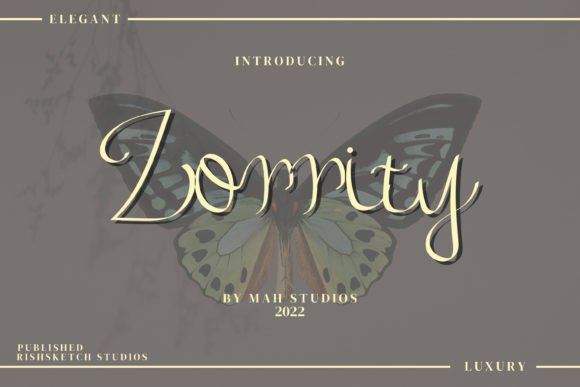 Zorrity: A Script Font for Creative Projects